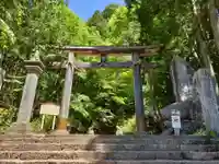 戸隠神社宝光社の鳥居