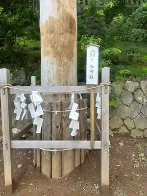 手長神社(長野県)