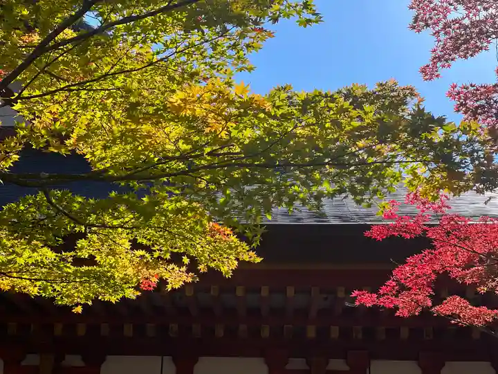 毛越寺(岩手県)