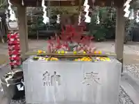 今市報徳二宮神社の手水舎