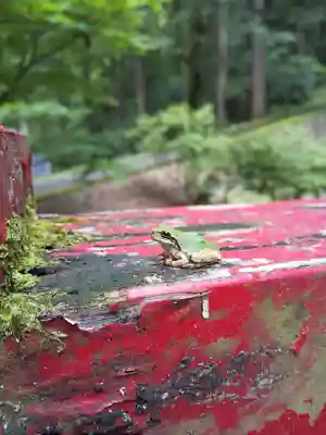 中野神社(福井県)