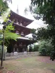 當麻寺の塔