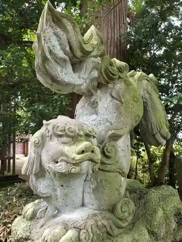 清水八幡神社の狛犬