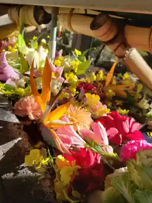 鳩森八幡神社の手水舎