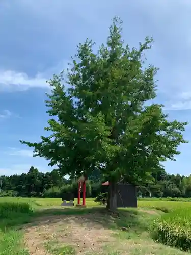 祖母神(千葉県)