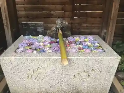 鎮守氷川神社の手水舎