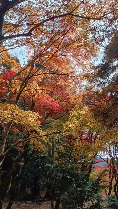 鶏足寺(滋賀県)