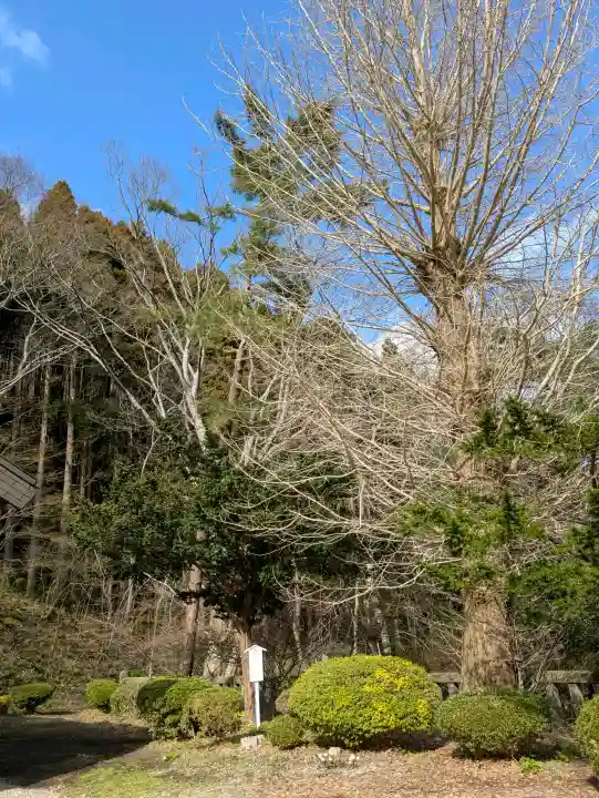 函館八幡宮の自然