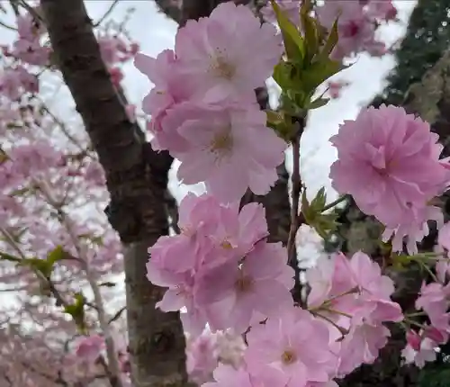 東円寺(山梨県)