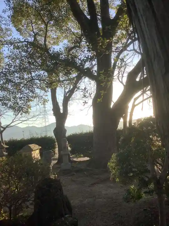 烏杜天神社(楽田天神)の自然