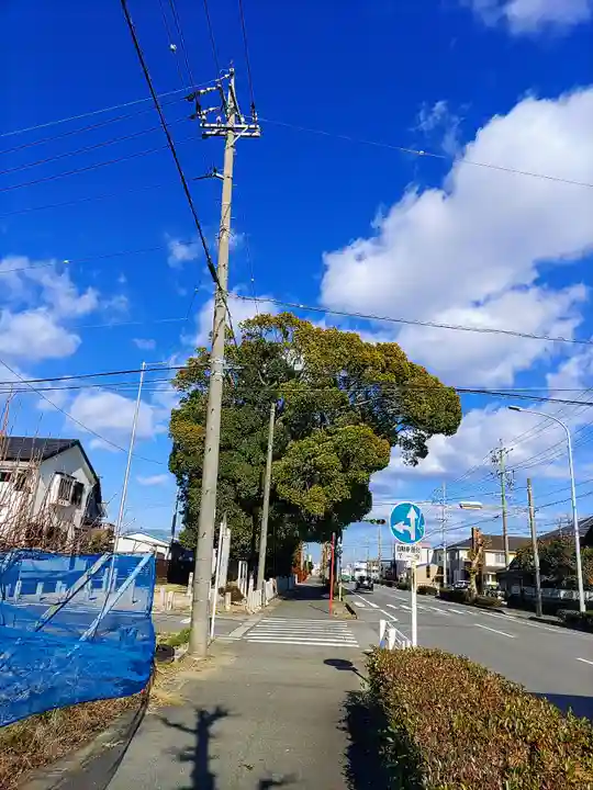 白山神社の自然