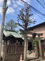 於咲稲荷神社・波除(浪除)稲荷神社(東京都)