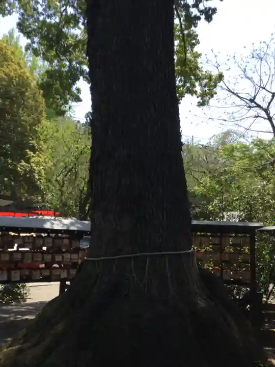 冠稲荷神社の自然