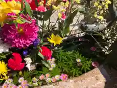 水堂須佐男神社の手水