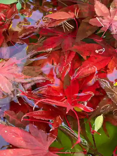 横浜御嶽神社の手水舎
