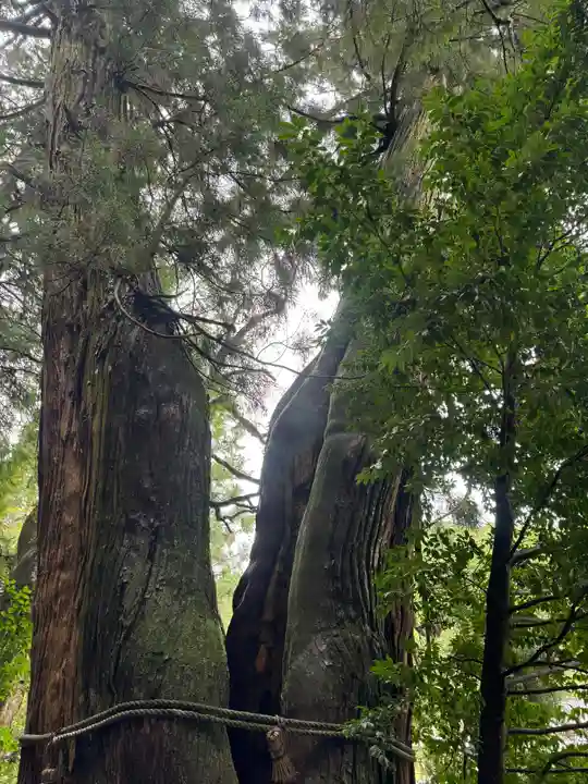 高岡神社(岡山県)