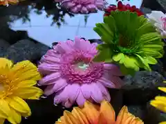 滑川神社 - 仕事と子どもの守り神(福島県)