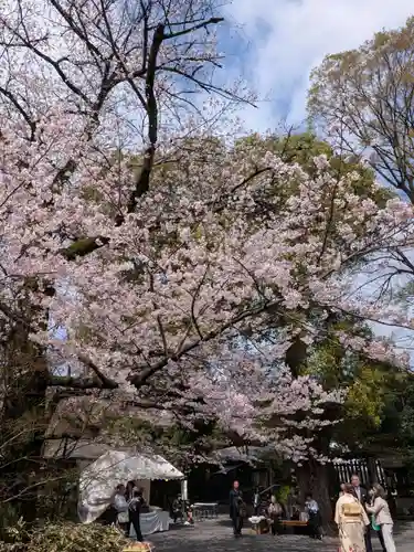 阿佐ヶ谷神明宮(東京都)