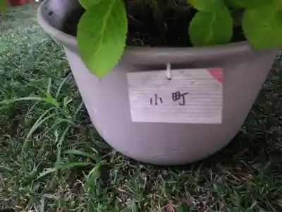 長谷寺のその他建物