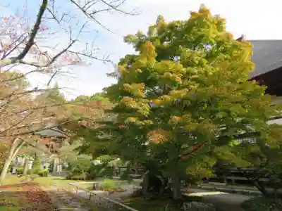 福聚寺(福島県)