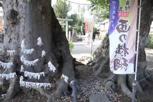 八枝神社(埼玉県)