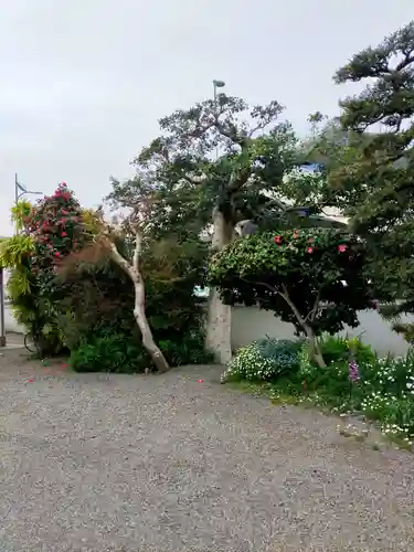 本弘寺(和歌山県)