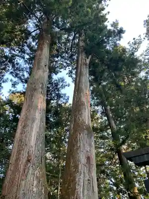 日光東照宮御仮殿の自然