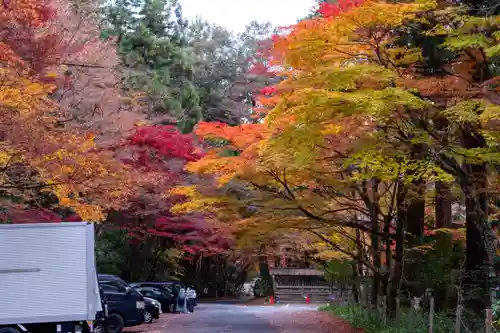 大矢田神社(岐阜県)