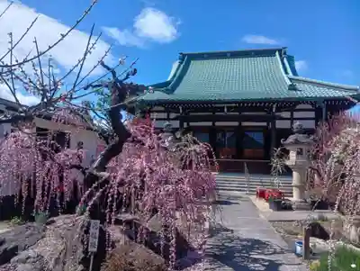 光受寺(岐阜県)