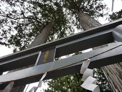 九頭龍神社の鳥居