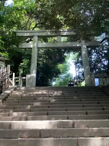 渋谷氷川神社(東京都)