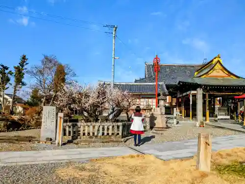 乙津寺　（鏡島弘法）の庭園