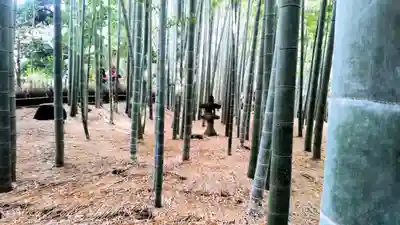 報国寺(神奈川県)