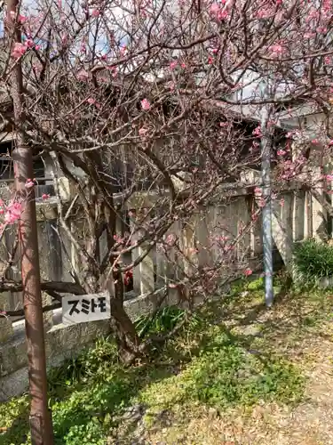 休天神社(兵庫県)