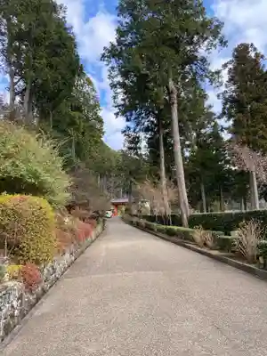 三室戸寺(京都府)