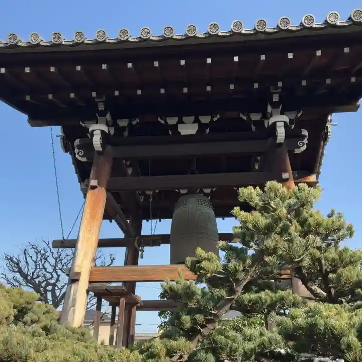 光清寺の{uncategorized: "未分類", other: "その他", undefined: "問題あり", building: "その他建物", grave: "お墓", sacred_gate: "鳥居", guardian: "狛犬", statue: "像", buddha: "仏像", history: "歴史", nature: "自然", garden: "庭園", animal: "動物", pagoda: "塔", temizu: "手水舎", mountain_gate: "山門・神門", sanctuary: "本殿・本堂", subordinate: "末社・摂社", art: "芸術", scenery: "景色", jizo: "地蔵", ema: "絵馬", goshuin: "御朱印", omikuji: "おみくじ", items: "授与品その他", amulet: "お守り", goshuincho: "御朱印帳", eats: "食事", festival: "お祭り", votive_dance: "神楽", shichigosan: "七五三参", wedding: "結婚式", experience: "体験その他", initially: "初詣", around: "周辺", anti_infection: "感染症対策"}