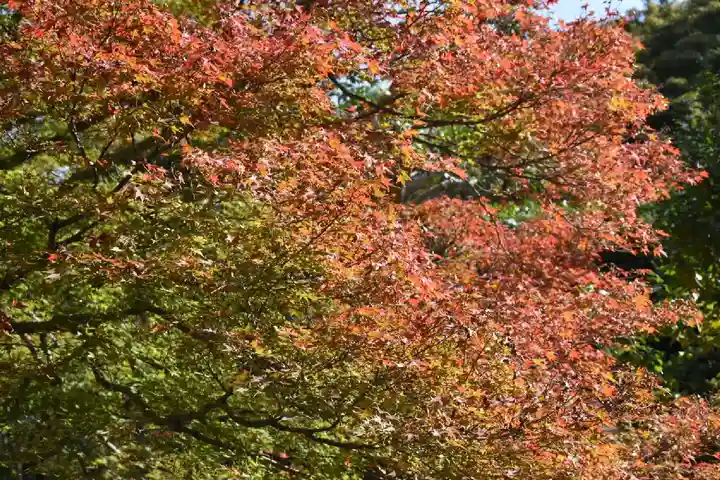東福禅寺(東福寺)(京都府)