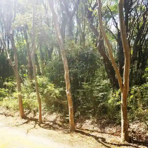 鹿島神宮の自然