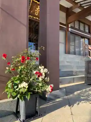 泉竜寺(乙女不動尊)の本殿・本堂