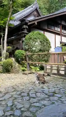 安養寺（立木観音）(滋賀県)