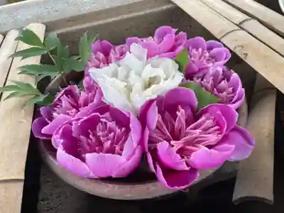 上野東照宮の手水舎