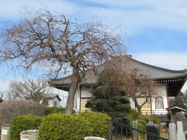 慈眼寺(東京都)
