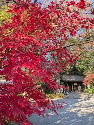 阿佐ヶ谷神明宮(東京都)