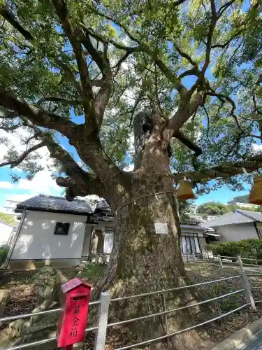山王神社(長崎県)