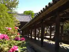 長谷寺(奈良県)