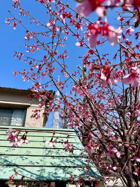 法泉院(東京都)