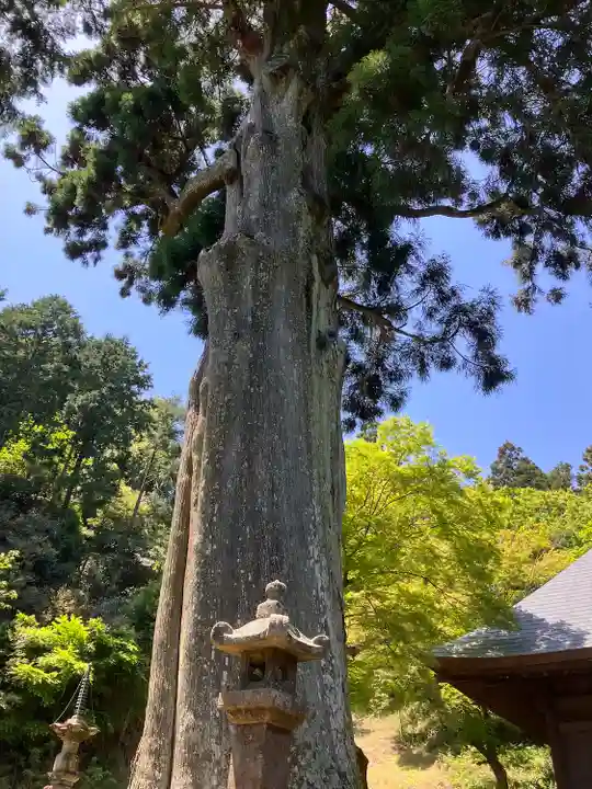 普門寺(切り絵御朱印発祥の寺)(愛知県)