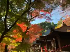 普門寺(切り絵御朱印発祥の寺)(愛知県)