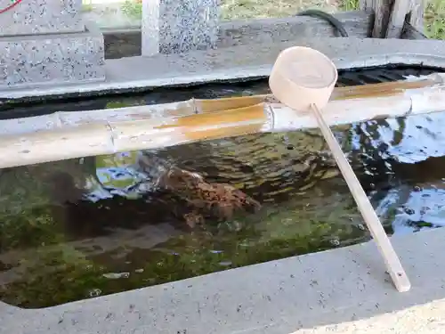 国安天満神社のその他建物