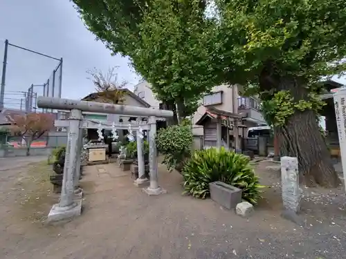 千住神社の鳥居